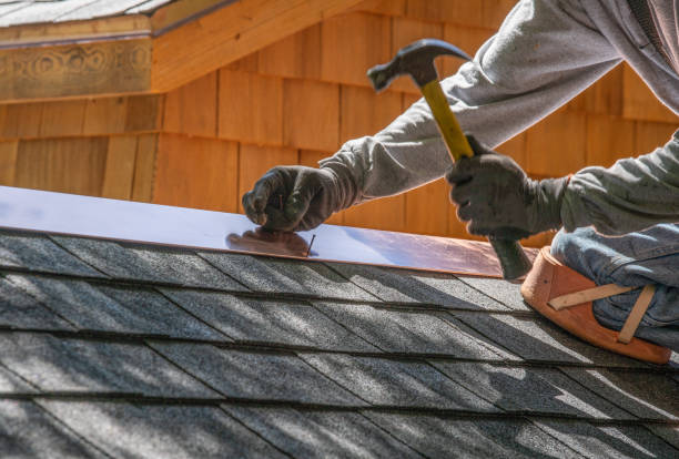 Best Solar Panel Roofing Installation  in Arnold, MD